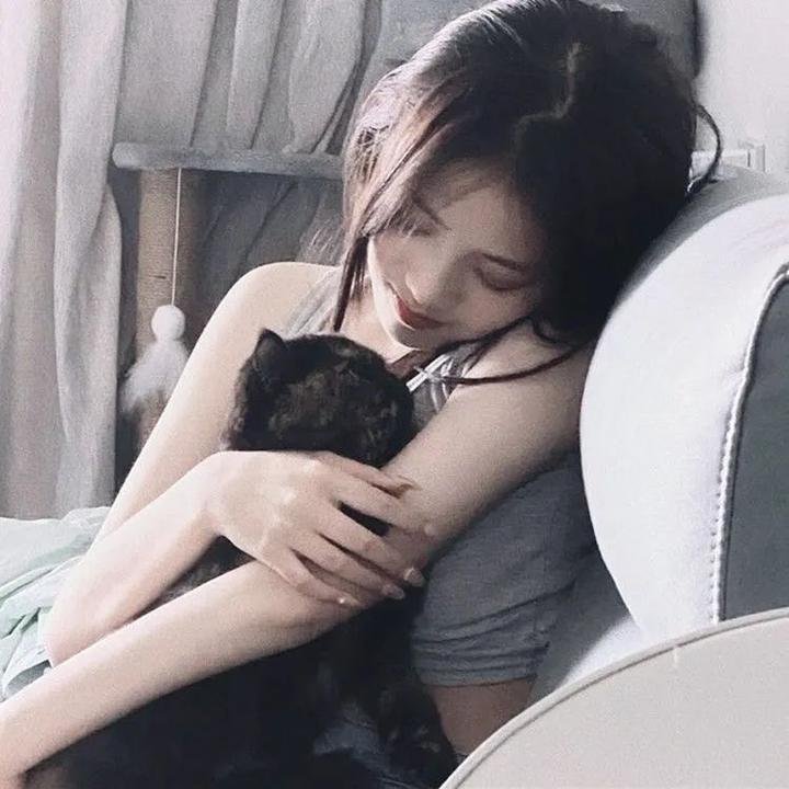 鱼影之群